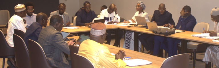 Session extraordinaire du Conseil d&rsquo;administration du Centre national de la Fonction publique locale et de la Formation (CNFPLF)