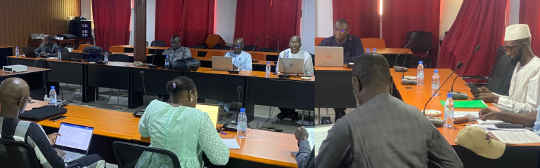 Atelier consacré à la mise à jour des textes régissant la Fonction publique locale