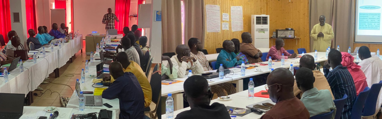 Atelier de formation du CNFPLF à Saly