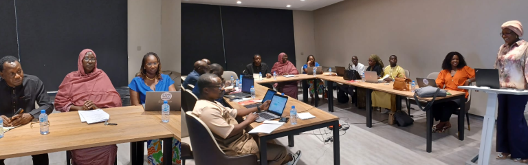 Formation des équipes du CNFPLF