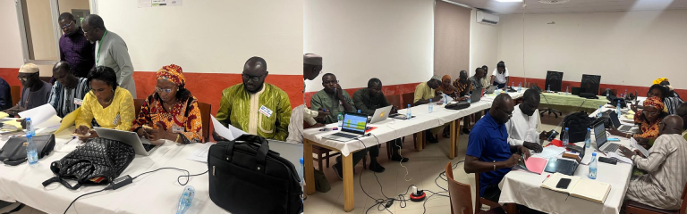 Sessions de formation du CNFPLF à Fatick